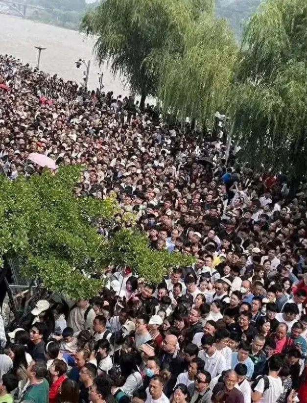 国庆怎么过，去年怎么过都忘了吗？
一号坐在沙发看全国高速堵车！
二号躺在床上看各
