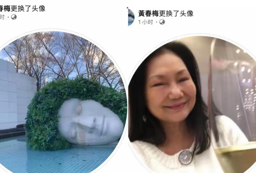 大S妈露馅了！

台媒记者说的没错，她看起来也没多难过！

真正的难过是茶不思饭