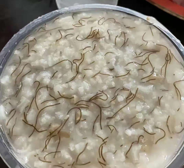 据说这是广东的省粥，请问那个密密麻麻漂浮在粥上的是什么？有点吓人