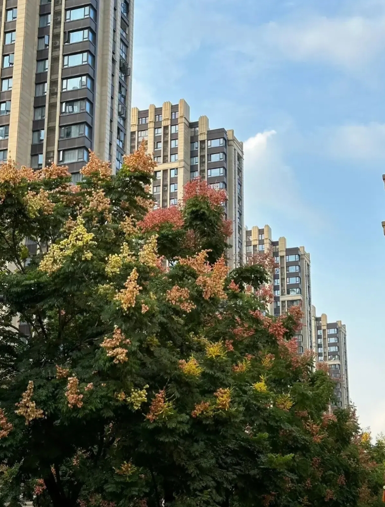 今天和一个朋友聊天，她的女儿文科，考到了一个211大学，因为妈妈是会计，所以给孩