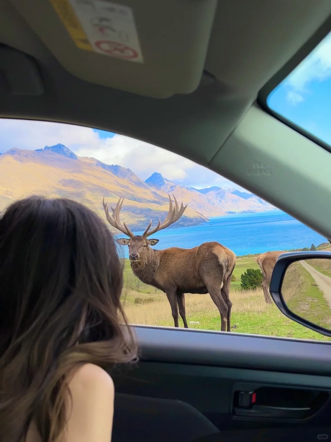 Eyes on 🦌
它们为啥这么cute？