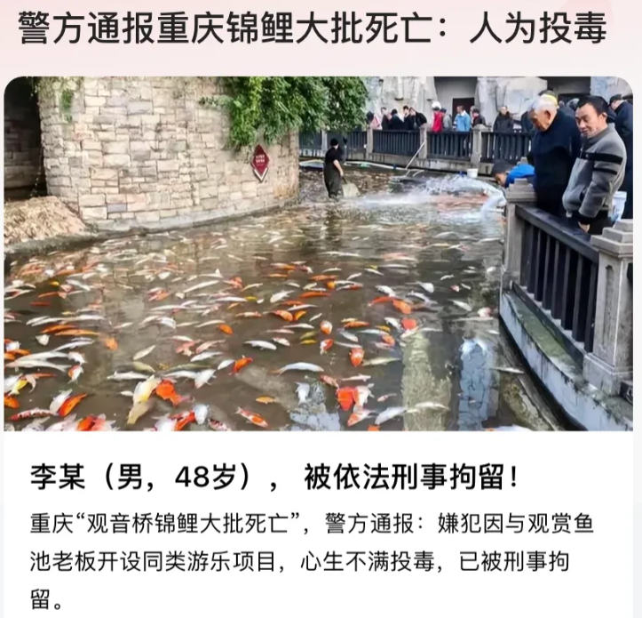 “损人不利己！”重庆，一公园观赏鱼池内，大量锦鲤一夜之间离奇死亡，目击者称死鱼密