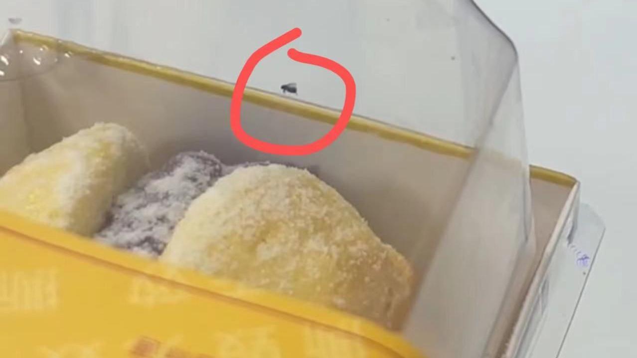 称重质疑刚过，鲍师傅再爆食安问题：未拆封的糕点有活虫