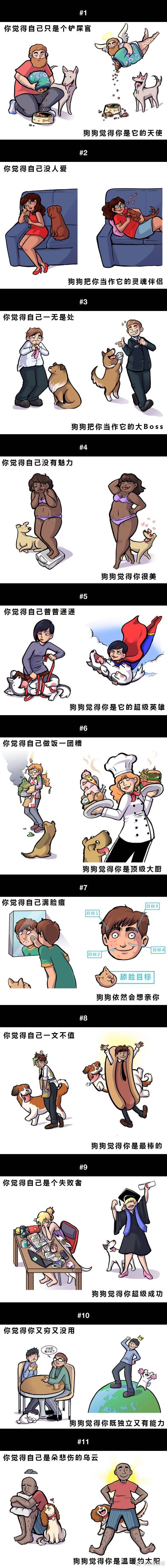 你眼中的自己和狗狗眼中的你