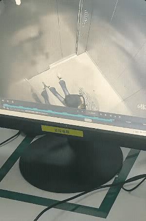 太可怕了！从电梯的监控画面可以看到这个男孩一进入电梯就开始打量起这个小女孩，似乎