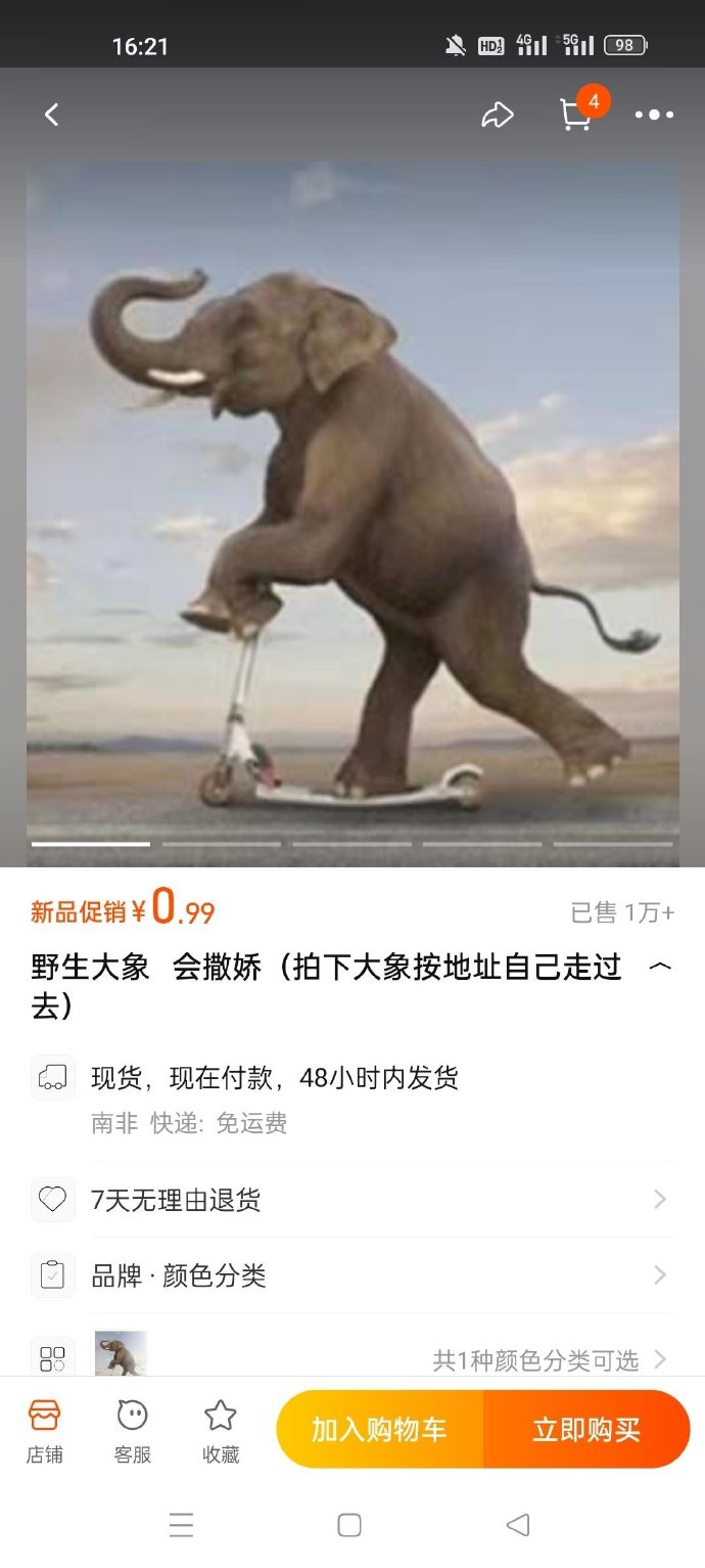 野生大象，会撒娇
