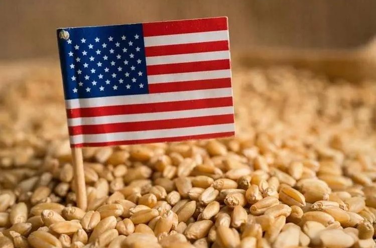 美国驻日大使伊曼纽尔的言论引发了国际舆论的广泛关注，他一番“威慑”中国粮食和能源