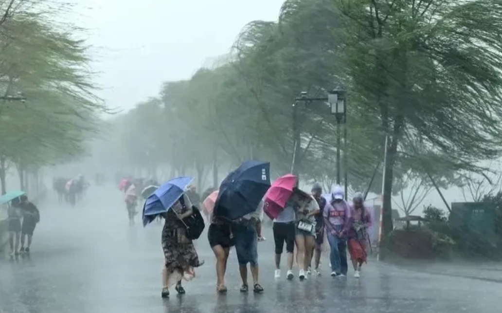 台风“康妮”实在太厉害了，我所在浙江中部小县城，虽然没有受到正面冲击，但大雨从昨
