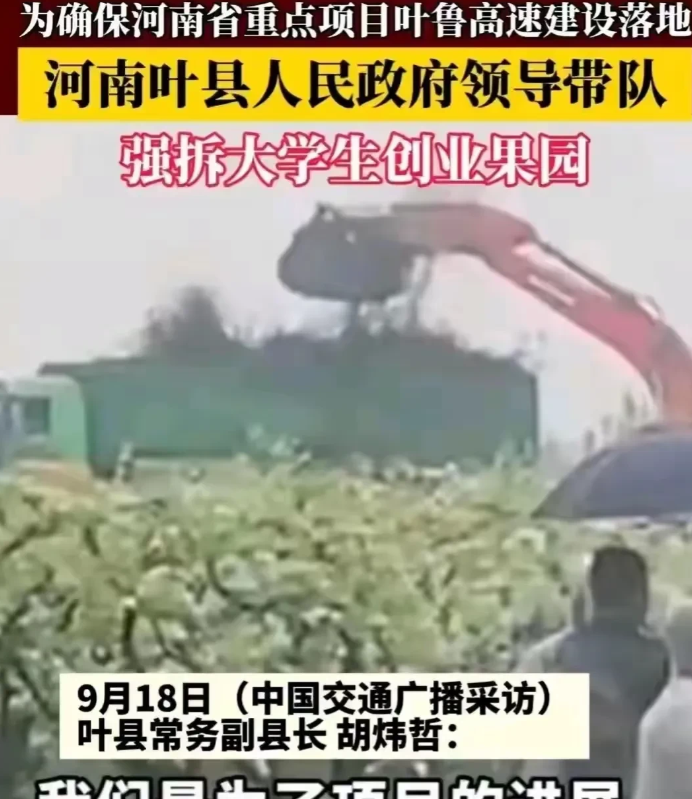 叶县强拆果园事件，凭什么敢要300万？
果园主人提出7亩地300万，平均一亩地4