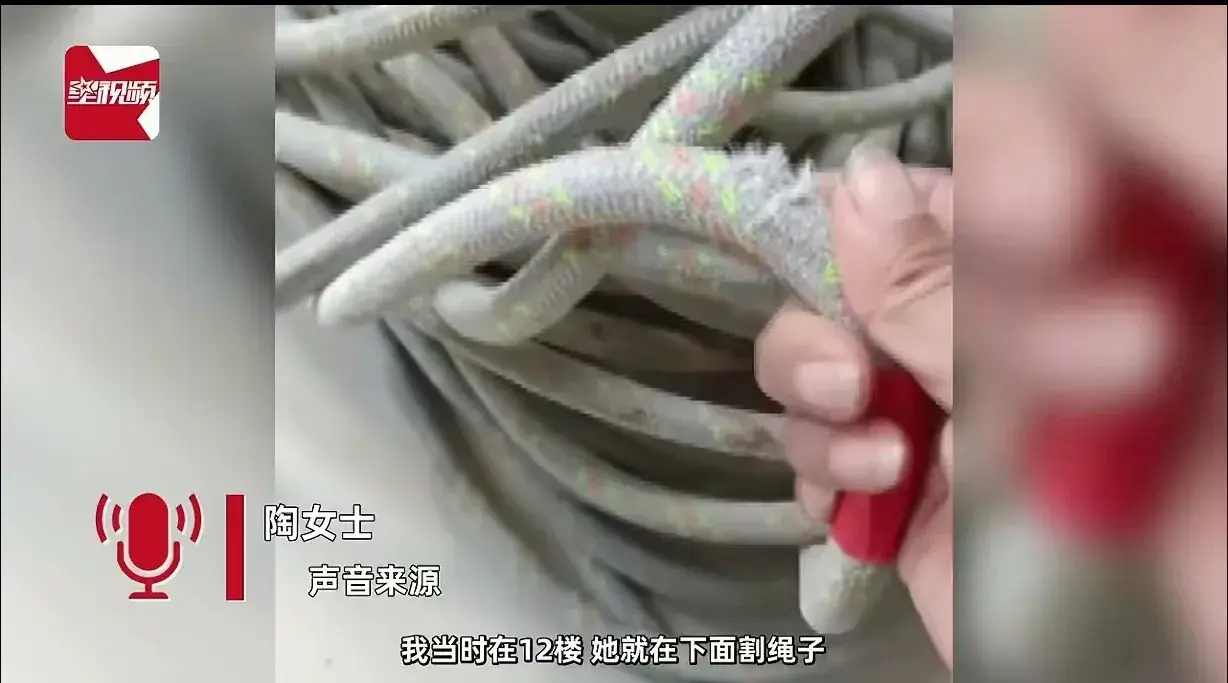 “必须严惩，简直坏透了！”安徽合肥，女子吊在安全绳上，给12楼做防水，突然，她发