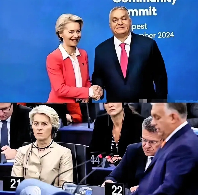 特朗普获胜，欧洲又被治愈了！

欧洲政客果然在美国面前成扯的，在特朗普获胜前，冯