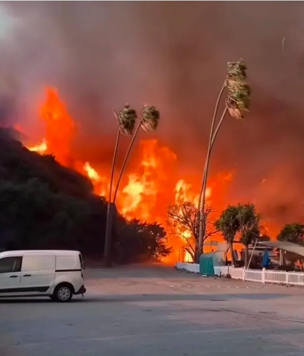 洛杉矶山火灭不了，那是有原因的。
洛杉矶的很多消防栓那都是没有水的，只是一个摆设