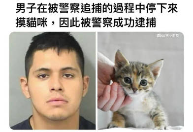 他是真正的猫派…