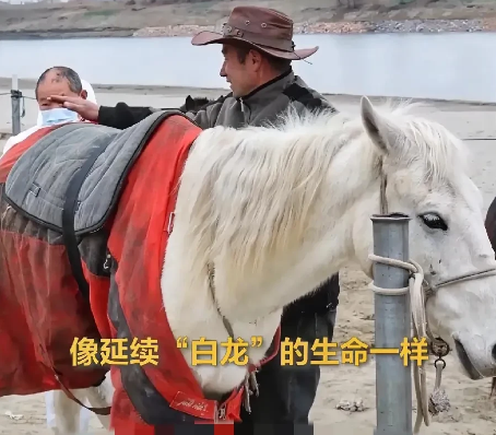 新疆大哥痛失爱马后收到暖心礼物，老铁们看哭了  

昨儿晚上，新疆汉子依立拜带着