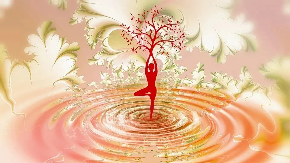 积聚在胃里的“愤怒”已逾30年，在冲突间突然松动｜舞动疗愈