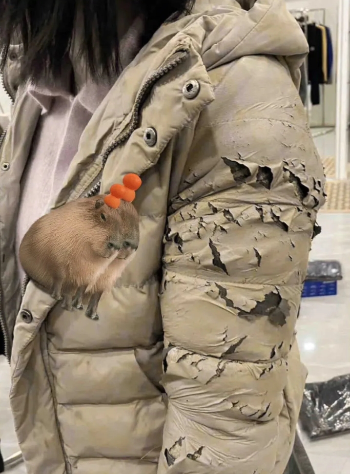 好几万的羽绒服，现在都想扔垃圾桶