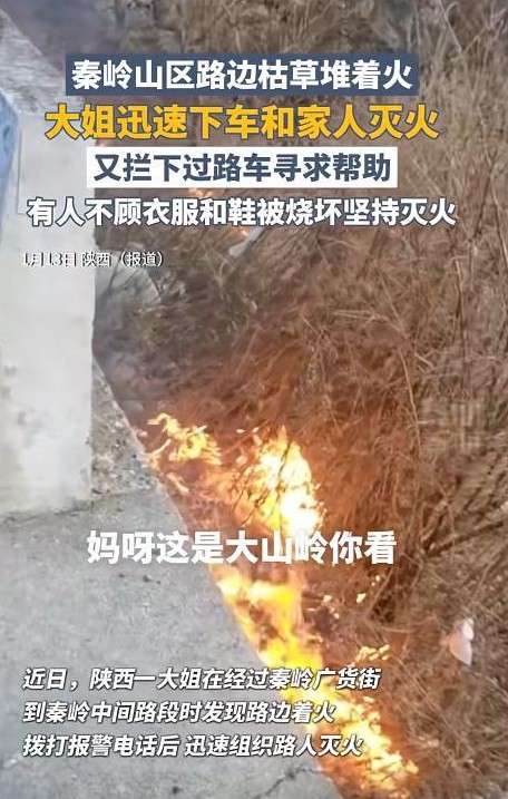 近期，陕西一位大姐在经过秦岭中间路段时，路边的火光吓了她一跳。尽管心里一阵狐疑，