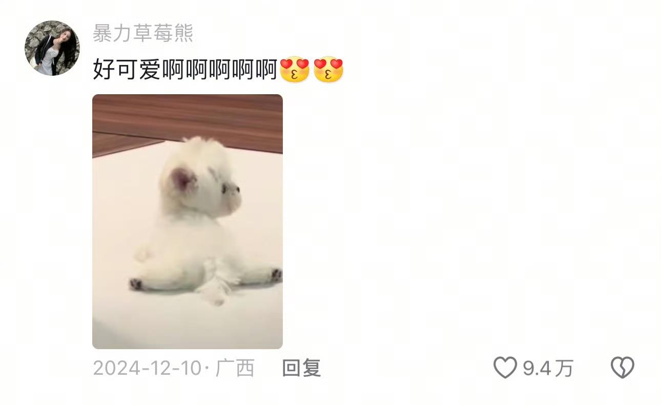 以防你没看过一字马小狗