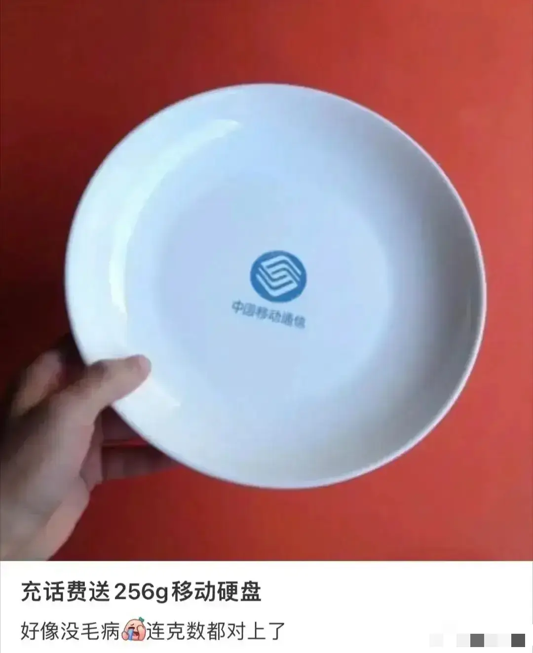 国人的智慧都用在自己人身上了