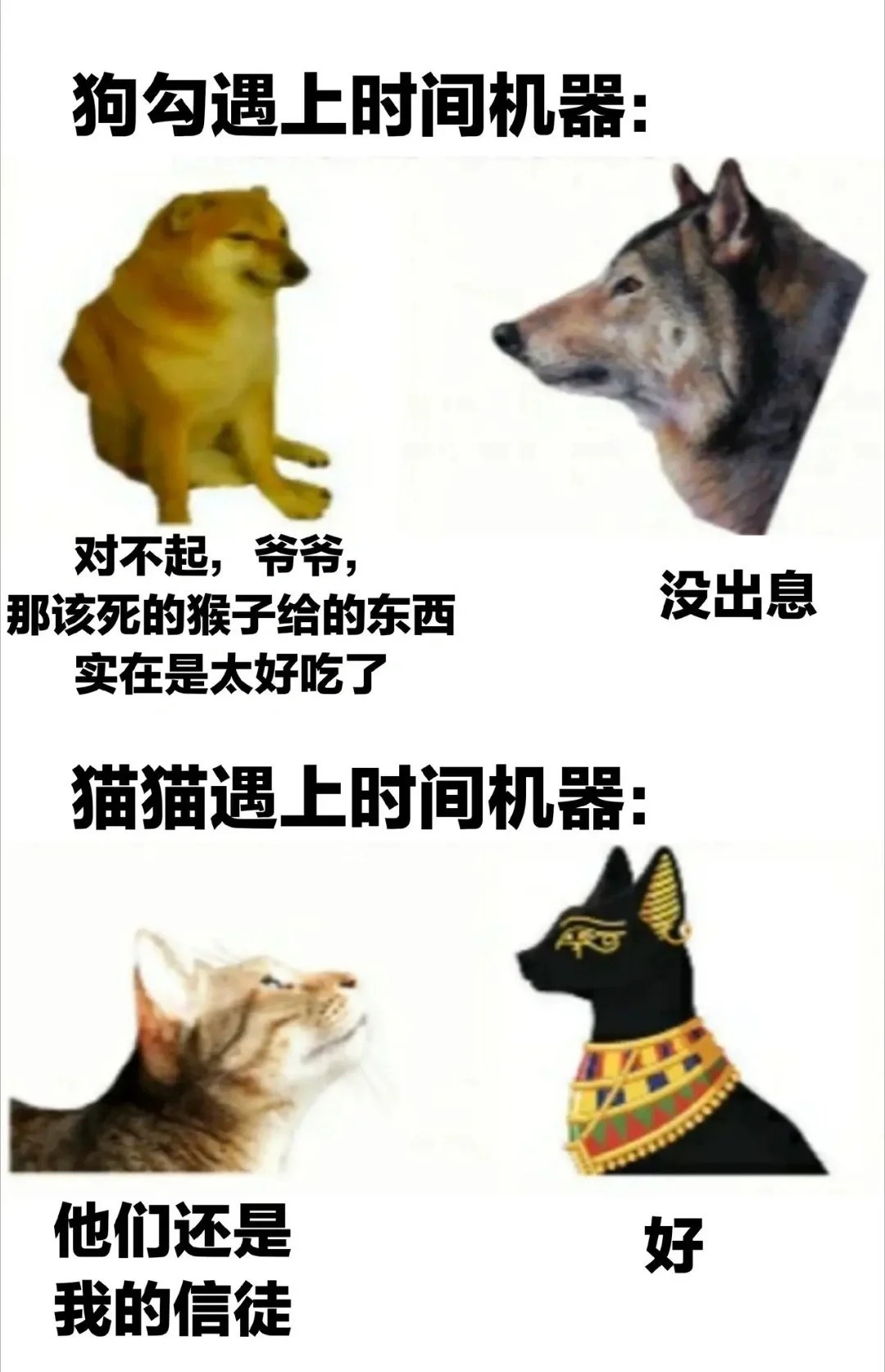 过去与现在
多年老图、但还是很好笑
老图看一次笑一次
以前：我要成为顶尖的捕食者