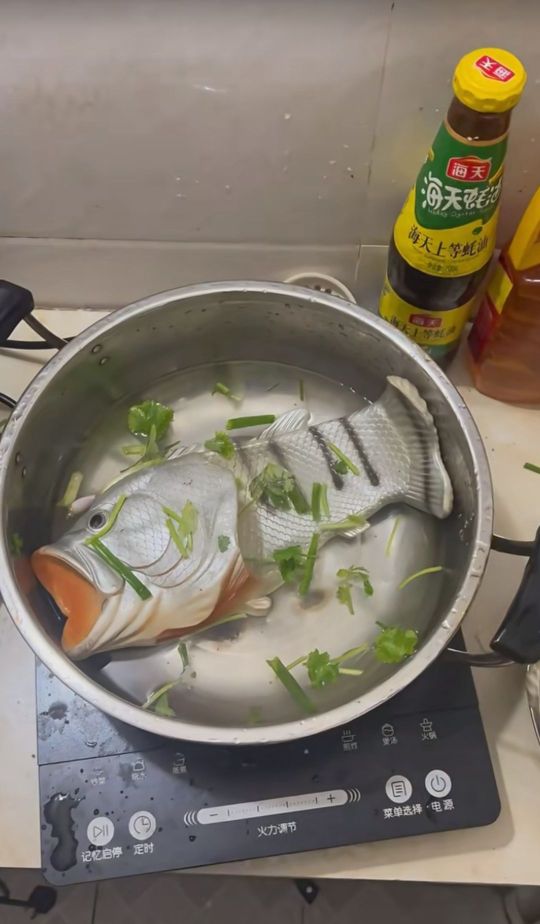 老公，这鱼怎么看着像假的