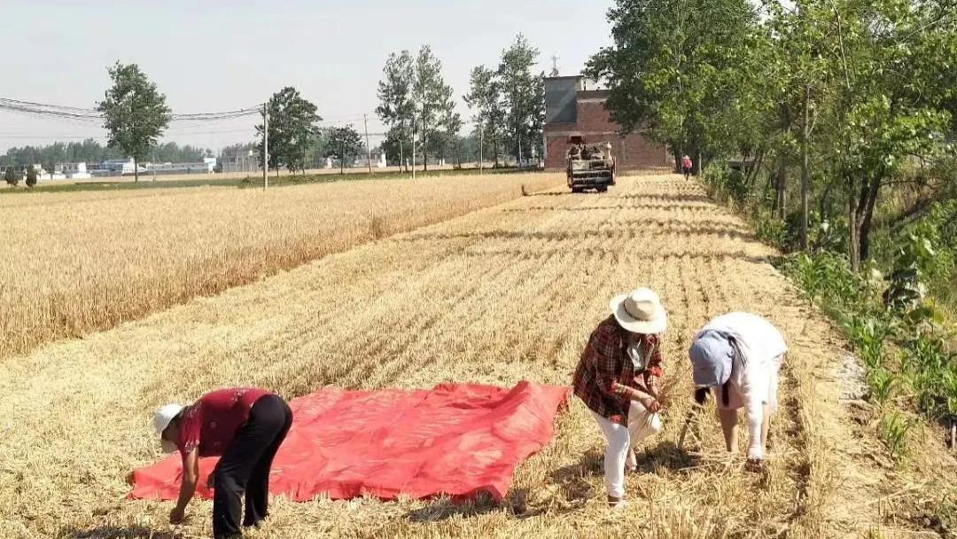 河南老家：一张学费单