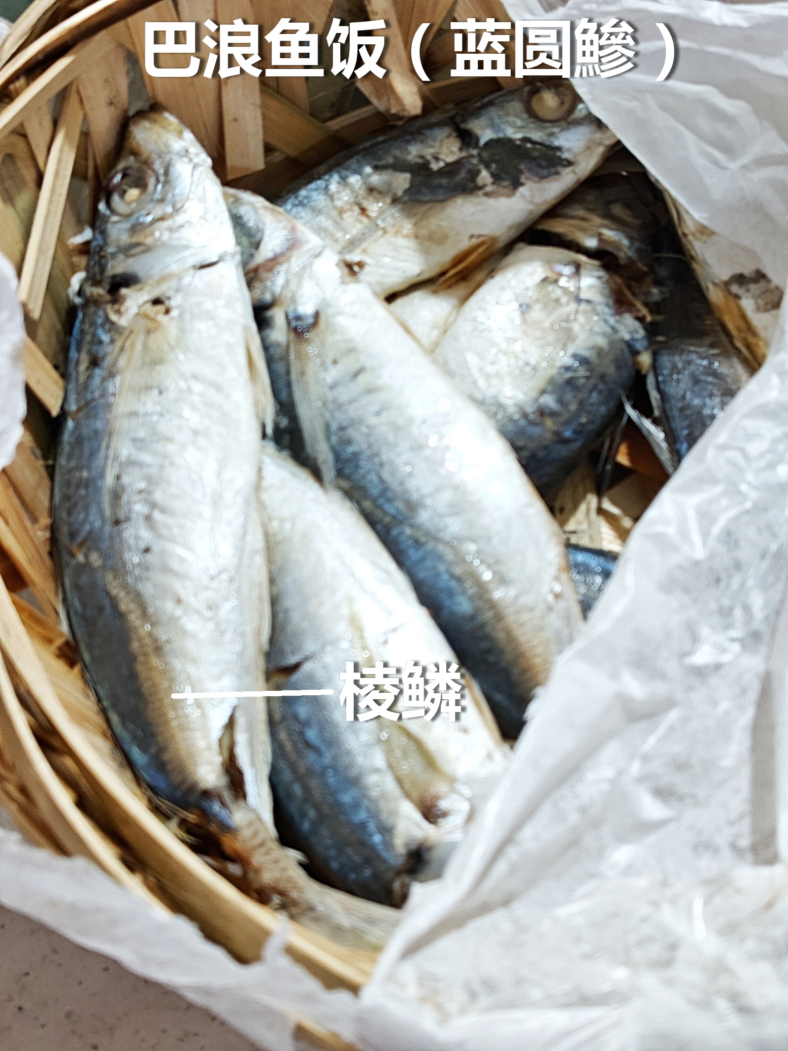巴浪鱼饭和花仙鱼饭，正名和特征见图，巴浪的肉更鲜甜好味，海鲜厚身啖啖肉满足。#海