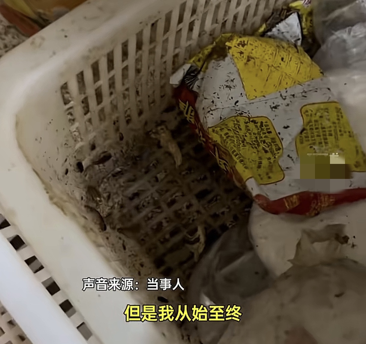近日杭州胡女士点了个外卖，吃完了之后就感觉到肚子疼，跑到这家外卖店一看发现后厨卫