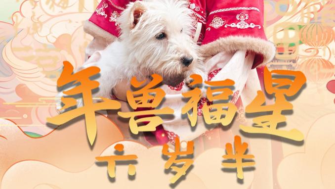 短剧在线观看《年兽福星六岁半》完整版全集（62集）