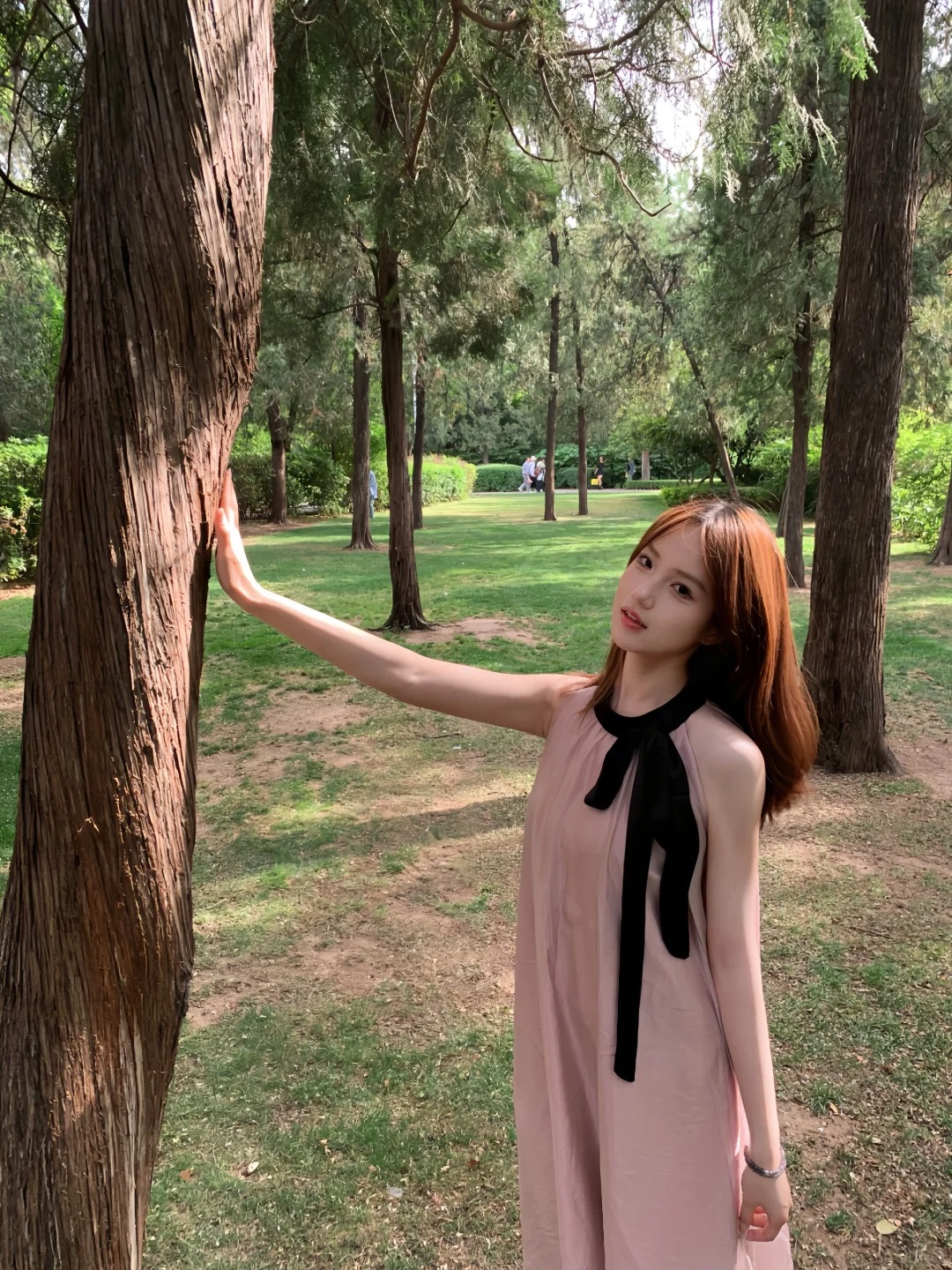 公园照🌲