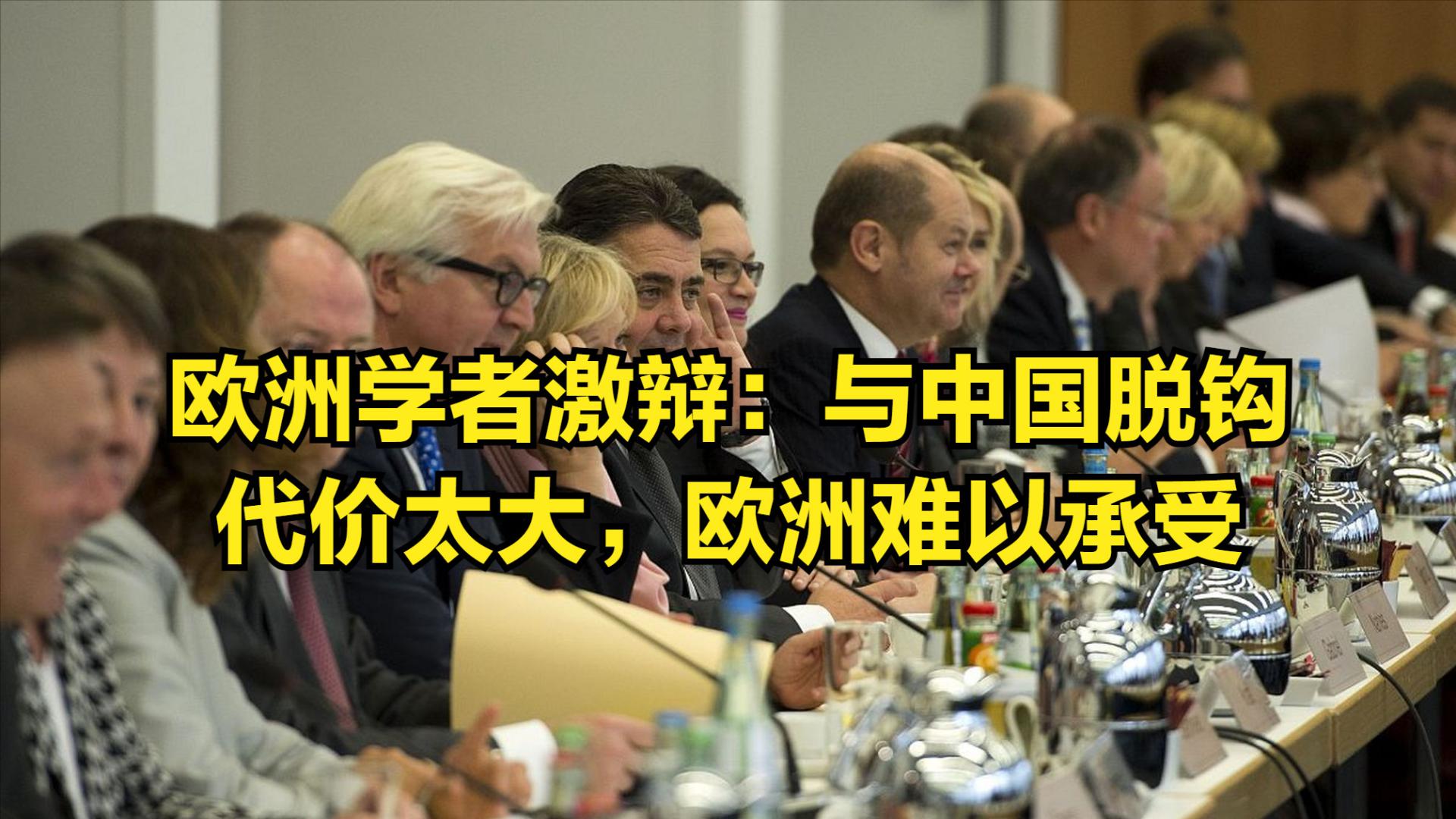 欧洲学者激辩：没有国家能取代中国，若对华不合作欧洲必将拉美化