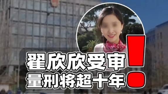 翟欣欣本来可以拥有非常美好的人生，却自己亲手把自己送入深渊。
真的十分令人费解，