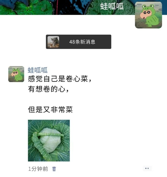 感觉自己是棵卷心菜