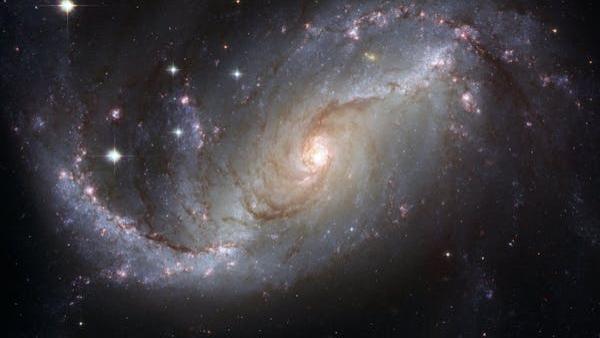 2024年12月12日星座运势