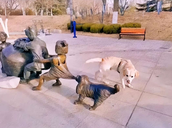 哈哈哈，笨笨的傻狗分不清真假
