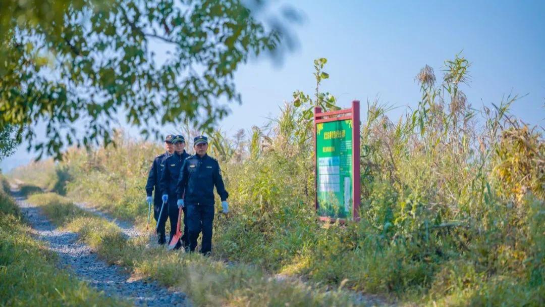 万物并育，携手守护湿地之美