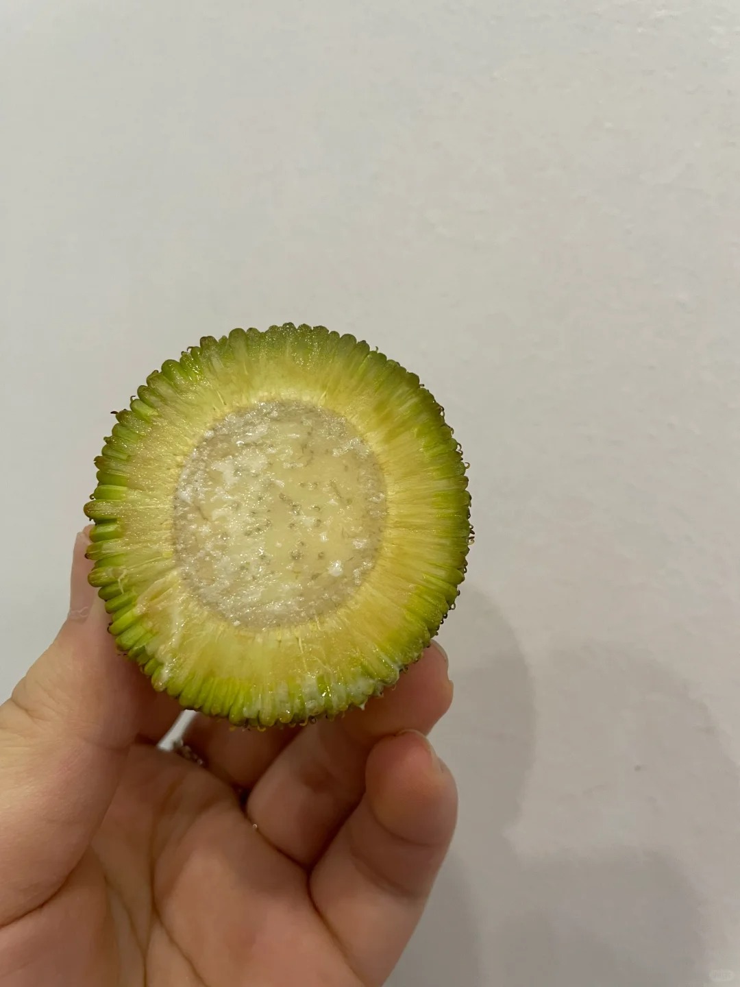 我不信有人能看出这是什么水果
t太有迷惑性了，猜中了算你厉害👍