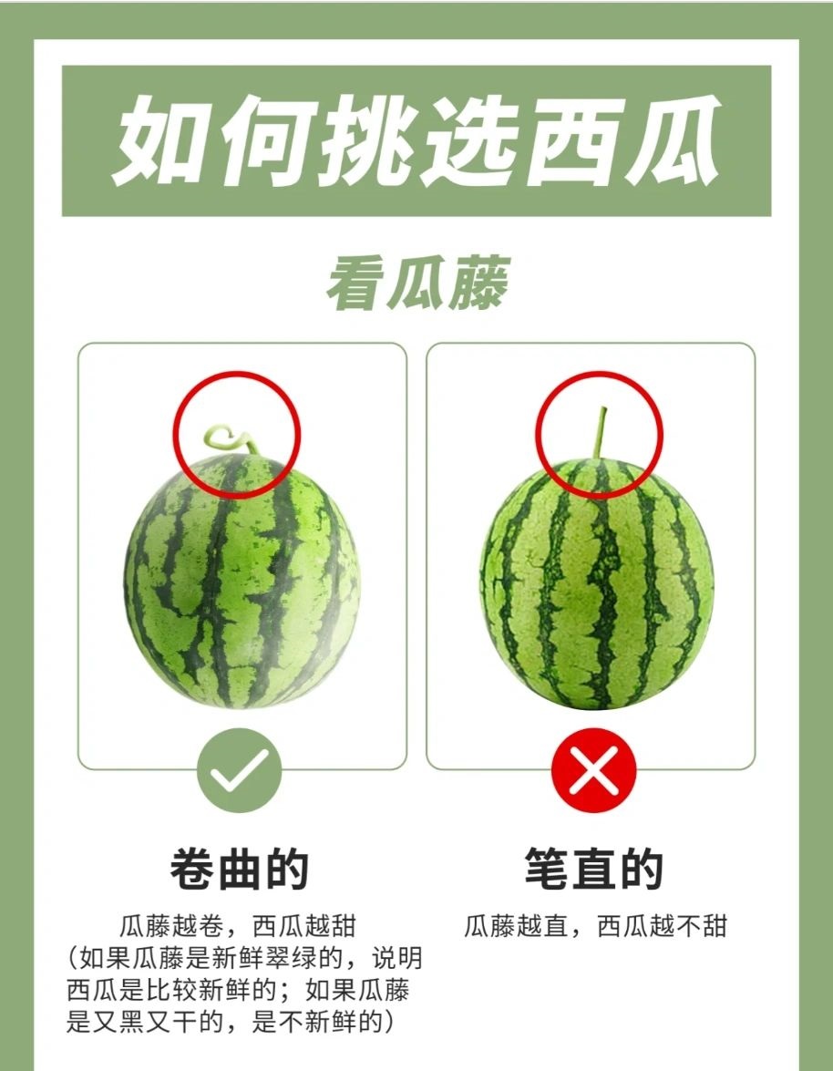 五个技巧教你挑到梦中情瓜😎