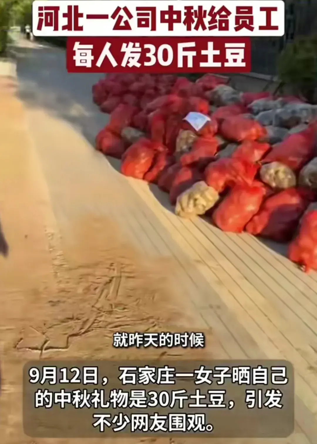 公司中秋节每人发30斤土豆