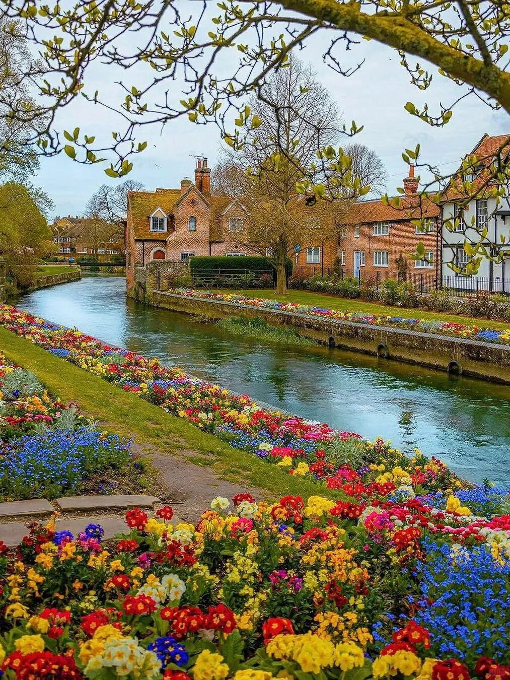 本来以为伦敦已经够美了🤨直到来了坎特伯雷
.
英国最浪漫的小镇
在美丽清澈的护