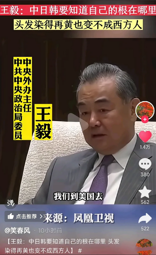 “头发染的再黄，也变不成西方人，中日韩要知道自己的根在哪里。”
中央外办主任王毅