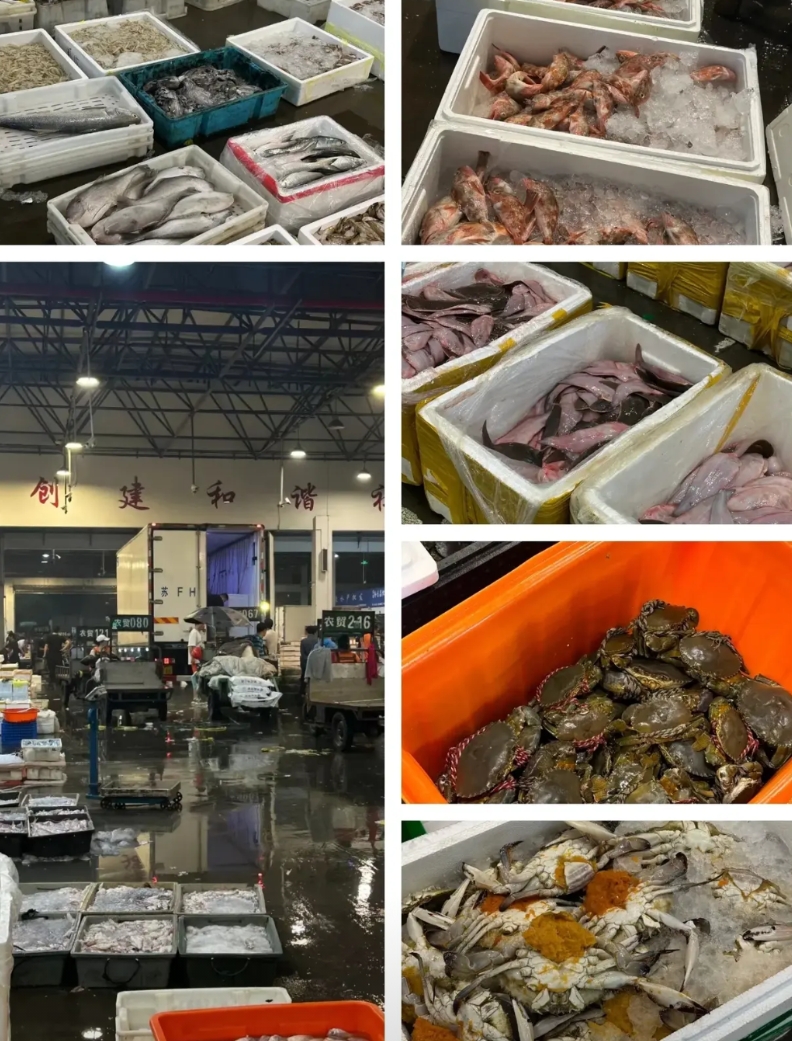我邻居做水产生意，5年至少挣了500万！他主要做小龙虾，大闸蟹，甲鱼，生蚝等批发