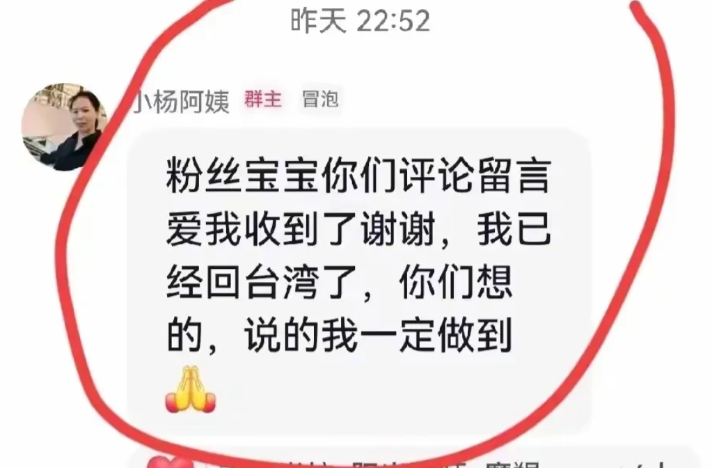 孩子已被汪小菲包机接回，小杨阿姨返台。安慰照顾两个孩子，张兰和小菲最担心的是两个