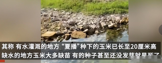 在保障农业生产用水方面，山东沂蒙山区水利部门采取了多种有效措施，一方面要加强对各