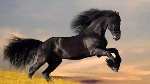 接好运！7月份必撞大运、发大财的三大生肖，运势好得不得了！