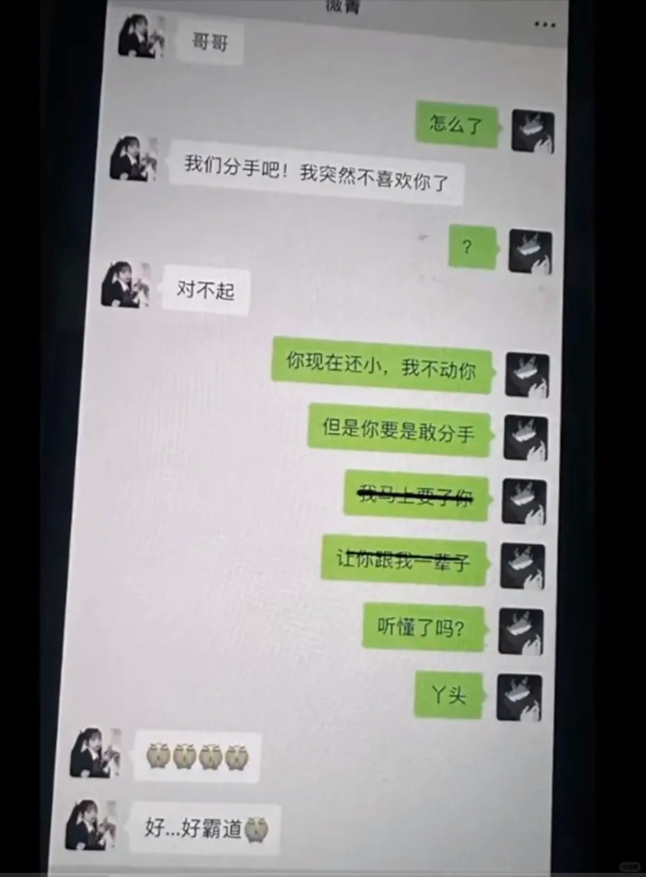 无意间看到弟弟的聊天记录
那臣退下了 还望公主照顾好自己
臣这一退可能是一辈子 