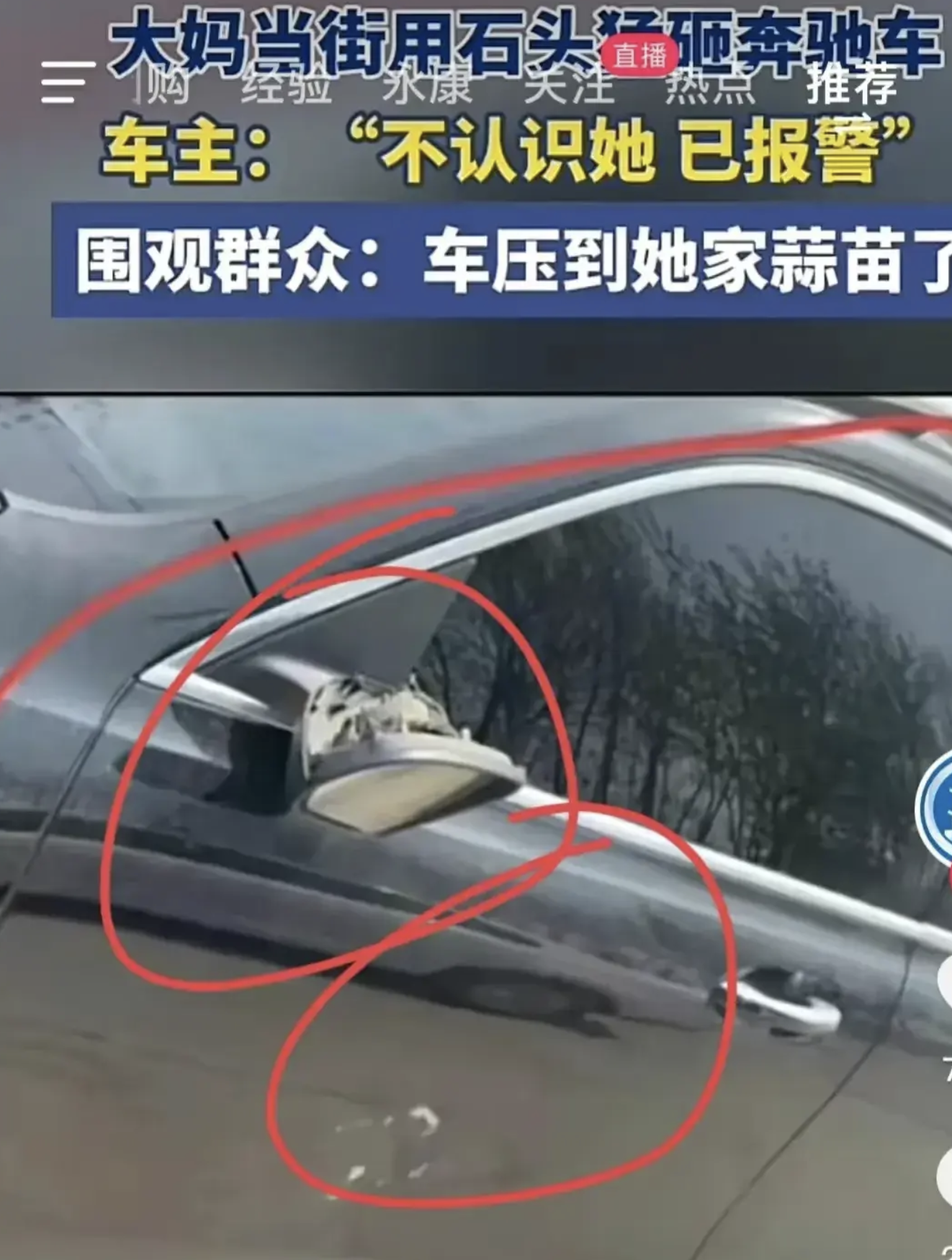 压坏蒜苗，大妈怒砸奔驰车，奔驰车主说蒜苗我可以赔，但修车的费用您也得赔。一群网友