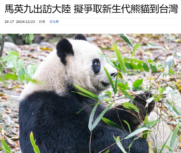 马英九团队想争取更多大熊猫到台湾？