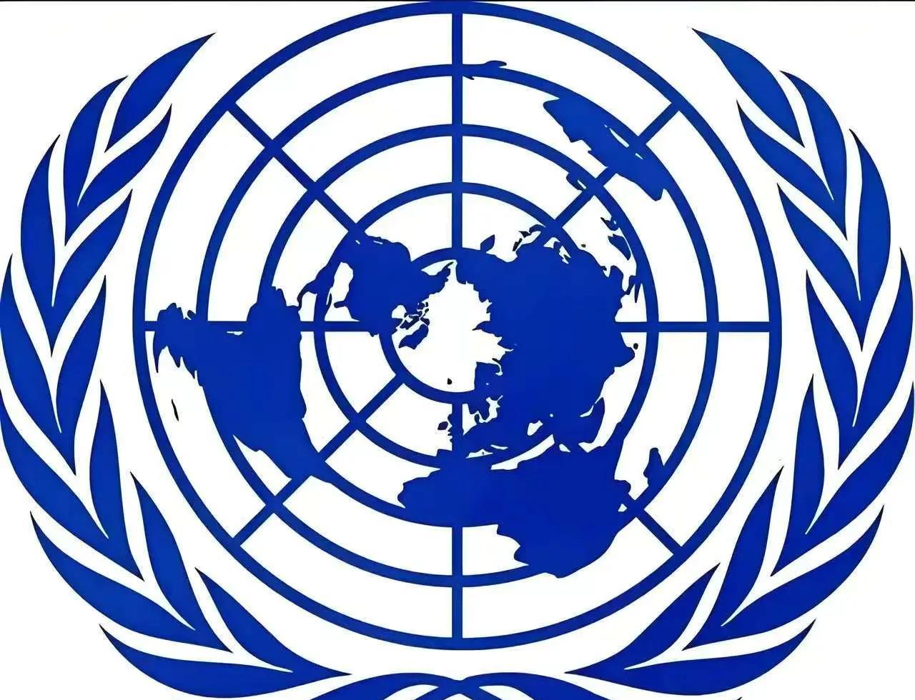 特朗普说联合国没用，其实有点道理。联合国本来是解决问题的地方，可啥事也没办成。