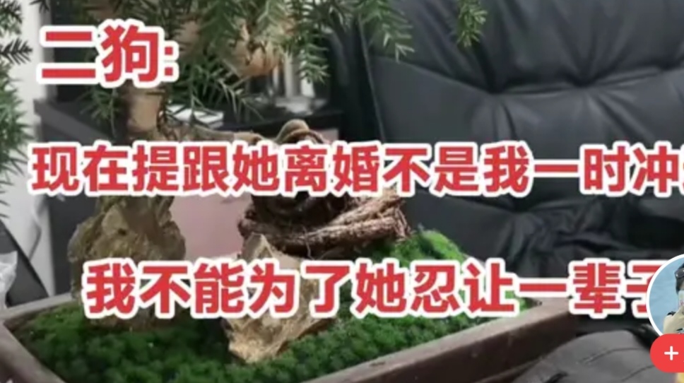  杨二狗的离婚进行曲，离开巴基斯坦后和三婚妻子各自精彩